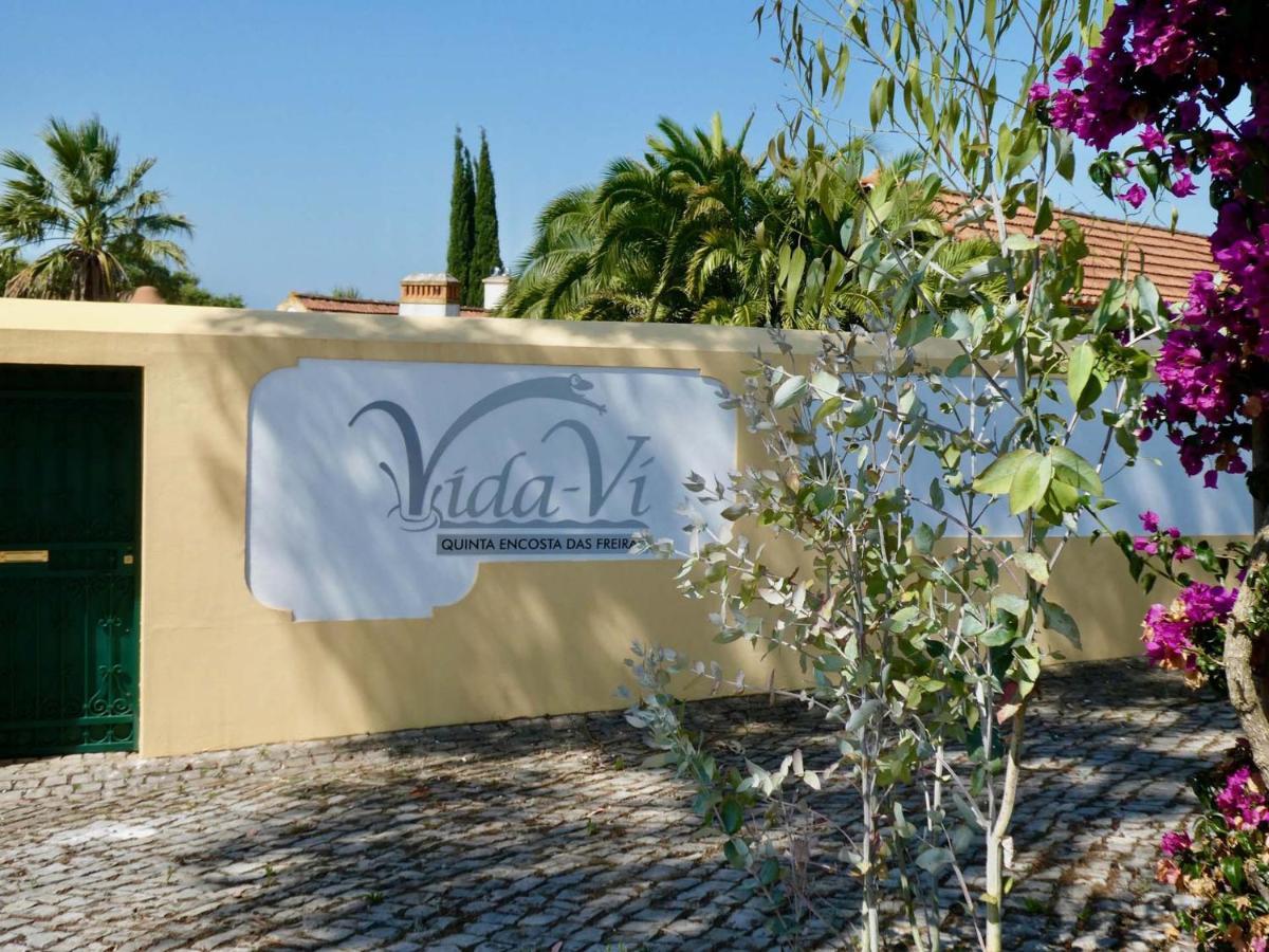 Vida-Vi, Country House And B&B Carvalhal Bemfeito Exteriér fotografie